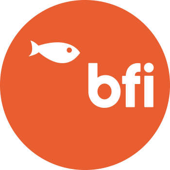 Big Fish Internet Ltd t/a BFI® (formerly BF Internet)