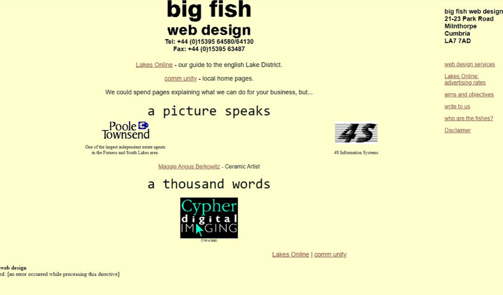 Big Fish Website 1996