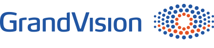 Vision Logo